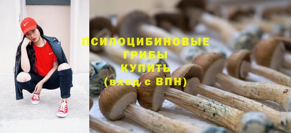 мескалин Осинники