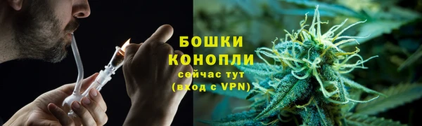 ГАЛЛЮЦИНОГЕННЫЕ ГРИБЫ Пестово